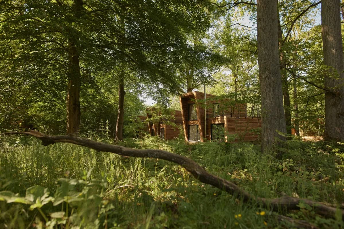 Le cottage aperçu au loin à travers la forêt, dans l'herbe haute du printemps