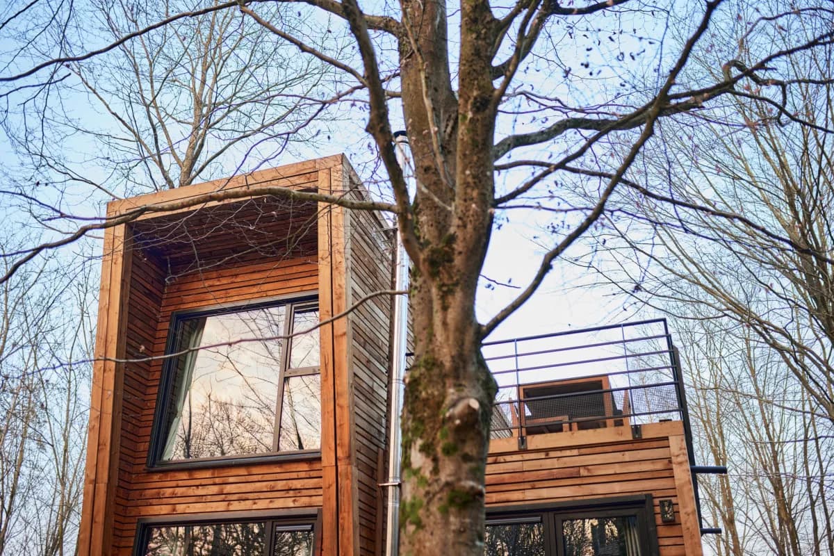 Le cottage vu d'en bas : façade en bois, grande baie vitrée et terrasse à l'étage entre les branches