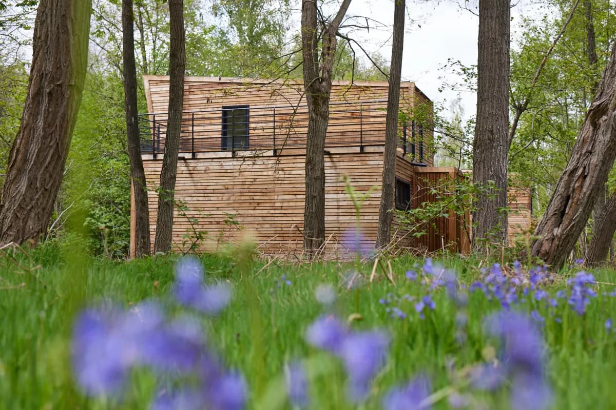Le cottage en bois au milieu des arbres, avec des jacinthes des bois au premier plan